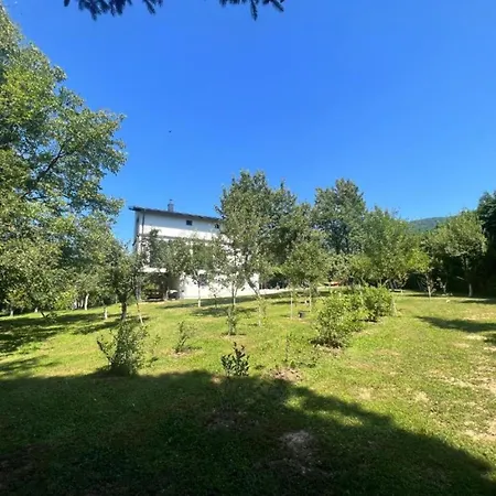 Hillside