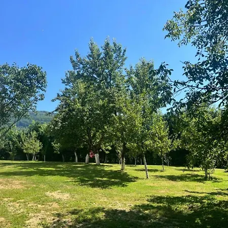 Hillside